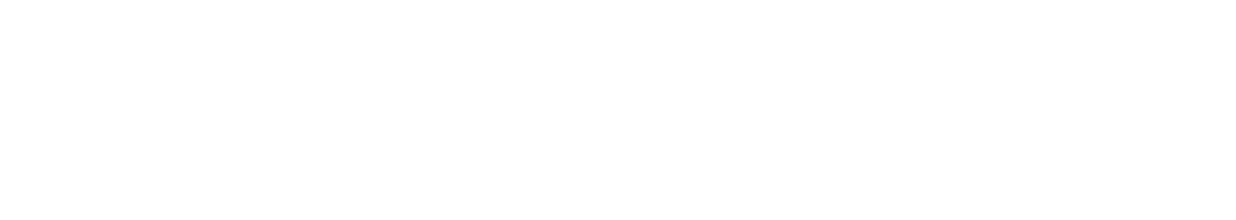 PartneroPro beyaz logo